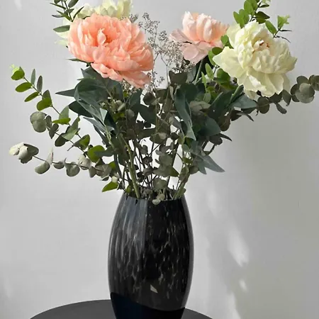 Gelegen, Ruim En Knus * ألكمار